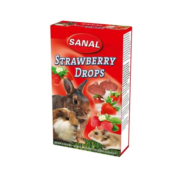 غذای تشویقی جونده سانال مدل توت فرنگی Strawberry Drops وزن 45 گرم