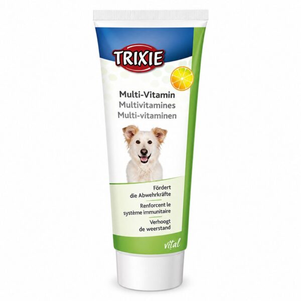 خمیر مولتی ویتامین سگ بالغ تریکسی Trixie Adult Dog Multivitamin Paste وزن 100 گرم