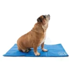 پد زیر انداز خنک کننده حیوانات ام پتس M-Pets Dog Cooling Mat Frozen - Image 2