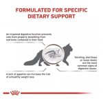 غذای خشک گربه گاسترواینتستینال رویال کنین Royal Canin Gastrointestinal وزن 2 کیلوگرم - Image 3