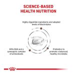 غذای خشک گربه گاسترواینتستینال رویال کنین Royal Canin Gastrointestinal وزن 2 کیلوگرم - Image 2
