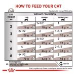 غذای خشک گربه گاسترواینتستینال رویال کنین Royal Canin Gastrointestinal وزن 2 کیلوگرم - Image 4