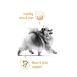 پوچ سگ بالغ پامرانین رویال کنین Royal Canin Adult Pomeranian وزن 85 گرم - Image 2