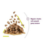 پوچ گربه حساس به بو رویال کنین Royal Canin Sensory Smell In Gravy وزن 85 گرم - Image 3
