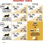 غذای خشک گربه مو کوتاه نژاد بریتیش رویال کنین Royal Canin Adult British ShortHair وزن 2 کیلوگرم - Image 4