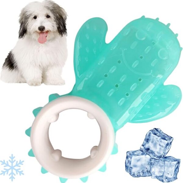 اسباب بازی دندانی خنک کننده سگ طرح کاکتوس  Cactus Chill Teething Toy