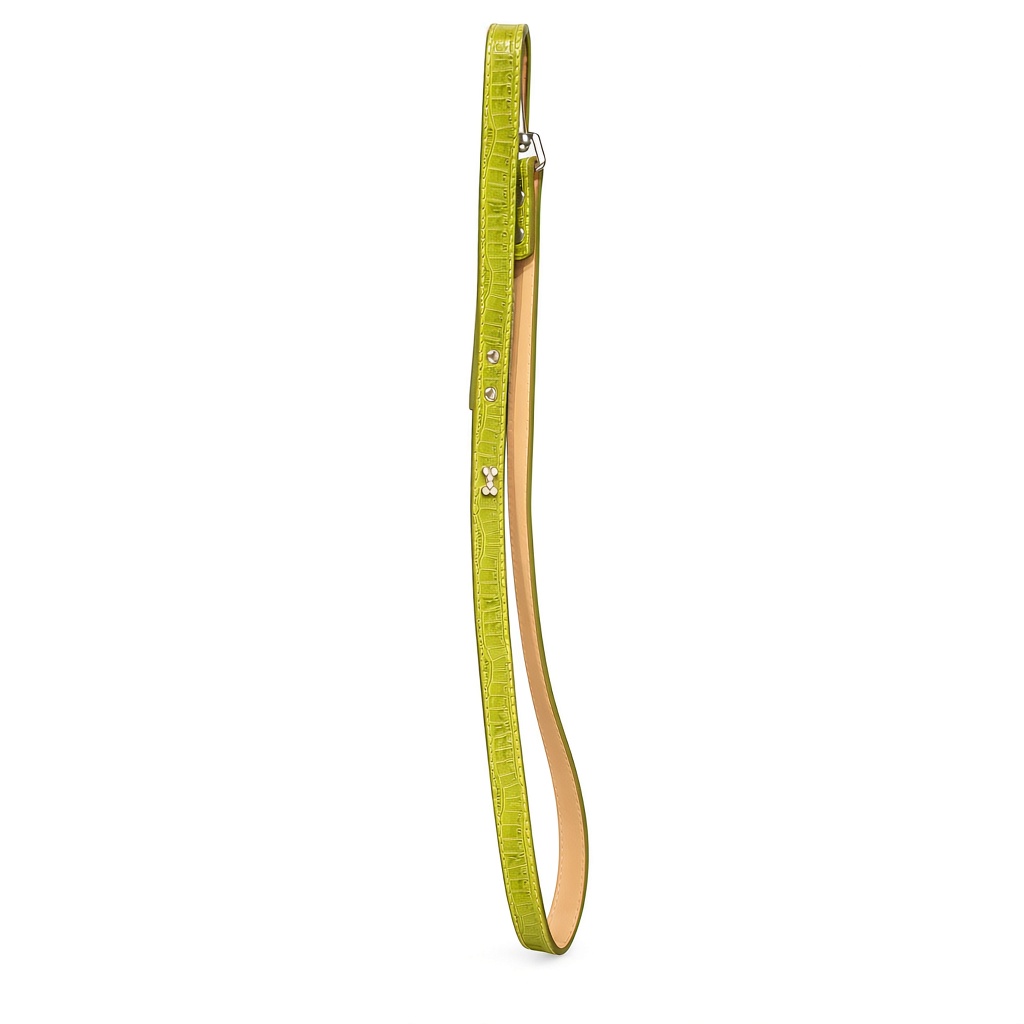 image (13) بند قلاده سگ طرح چرم براق سبز ام پتس M-PETS Green Leather Look Dog Leash - Image 1