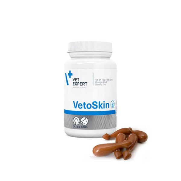 مکمل پوست و موی سگ و گربه وت اکسپرت VetoSkin Vet Expert VetoSkin For Dogs And Cats تعداد 90 عدد