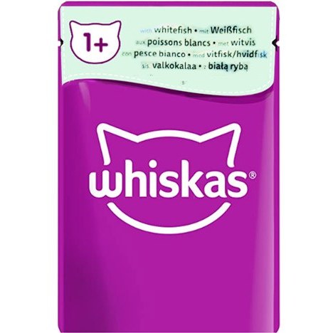 3yTpMt5wh1Kz0J4y پوچ گربه با طعم ماهی سفید ژلهای ویسکاس | Whiskas Whitefish Jelly Pouch وزن 85 گرم - Image 1