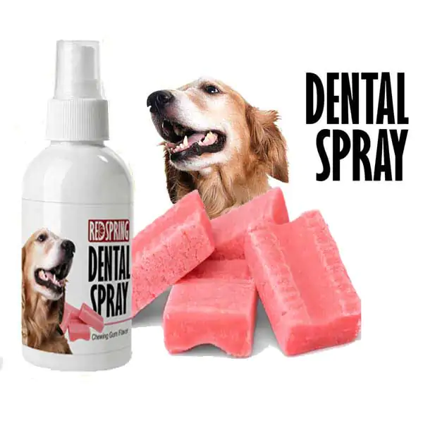 ...آدا.jpg (1) اسپری دنتال رد اسپرینگ با رایحه آدامس Red Spring Dental Spray With Chewing Gum Scent حجم 60 میلی لیتر - Image 1