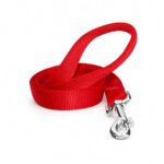 لید سگ تسمه‌ای هاگن Hagen Dogit Nylon Leash Large سایز لارج