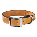 قلاده گردنی سگ ساده نیناپت Ninapet Simple Dog Collar سایز 4 - Image 2