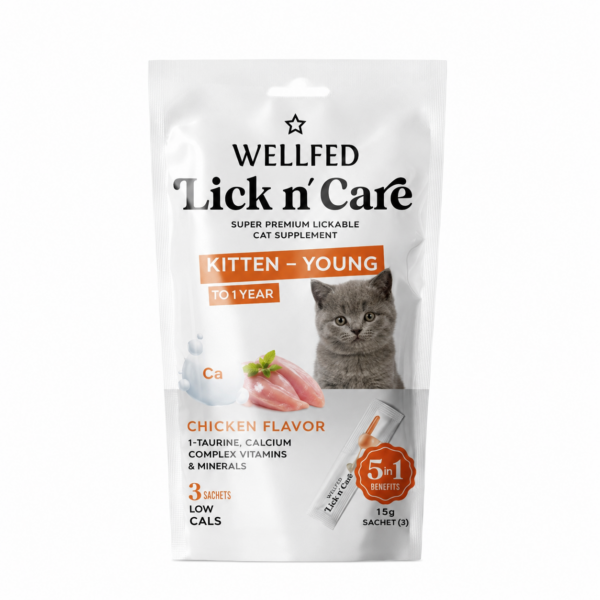 بستنی بچه گربه ولفد با طعم مرغ WELLFED Kitten Chicken Creamy Treat تک عددی