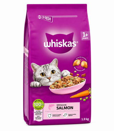 غذای خشک گربه ویسکاس با طعم سالمون Whiskas Adult Dry Cat Food وزن 1.9 کیلوگرم